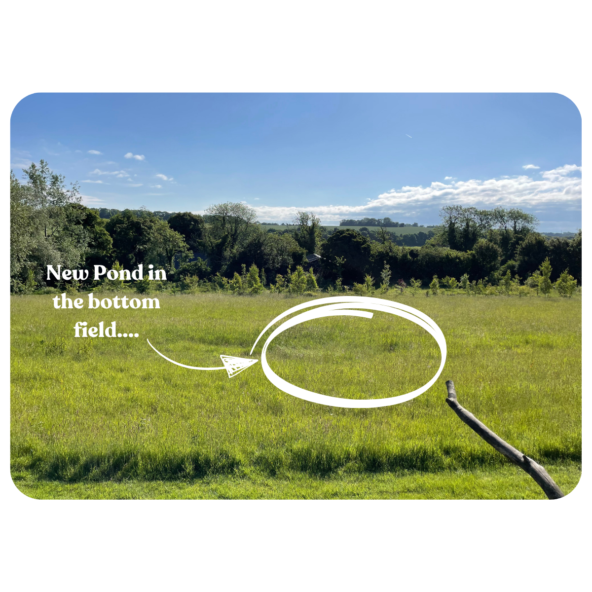 Photograph of the bottom field with a hand-drawn circle and arrow marking the location of the planned new pond.
